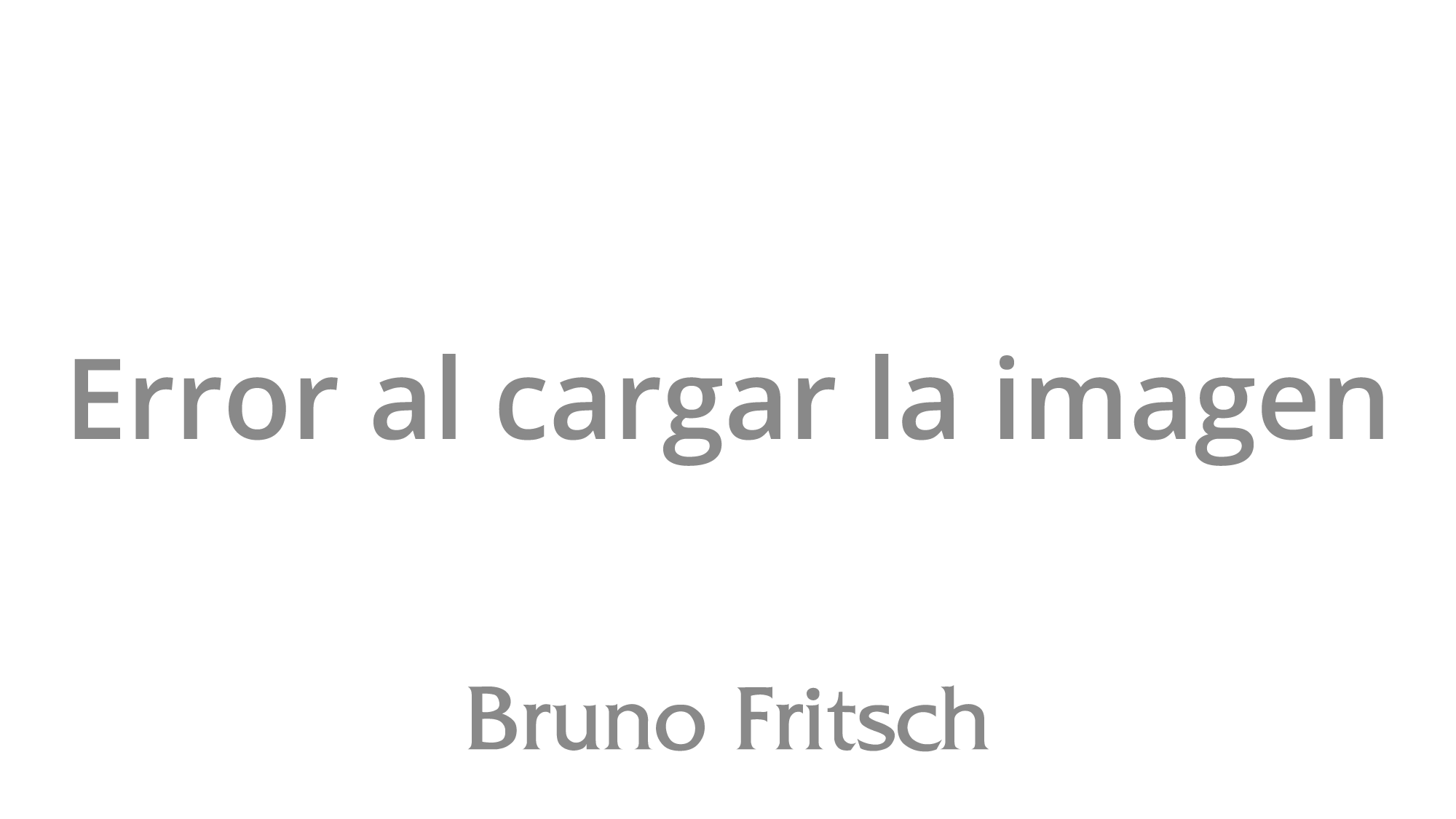 Camionetas Usadas Furgon Minibus Seminuevo Bruno Fritsch Chile